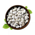 White Kidney Bean Extract Powder CAS 85085-22-9